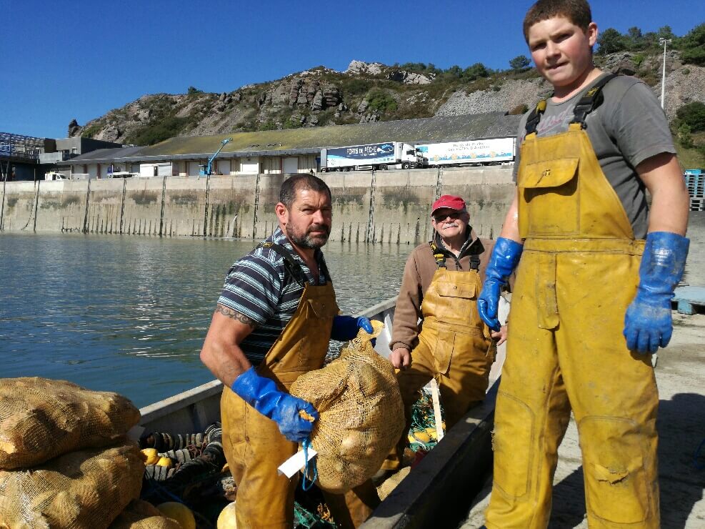 Pêche aux coquilles Saint-Jacques en baie de Saint-Brieuc