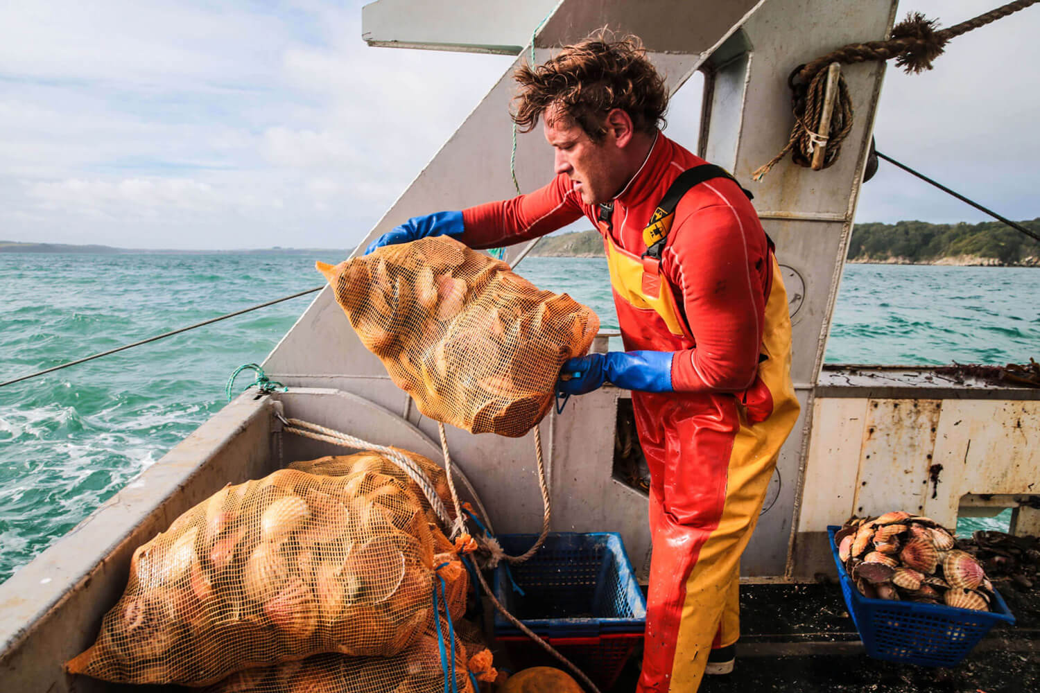 Pêche aux coquilles Saint-Jacques en baie de Saint-Brieuc