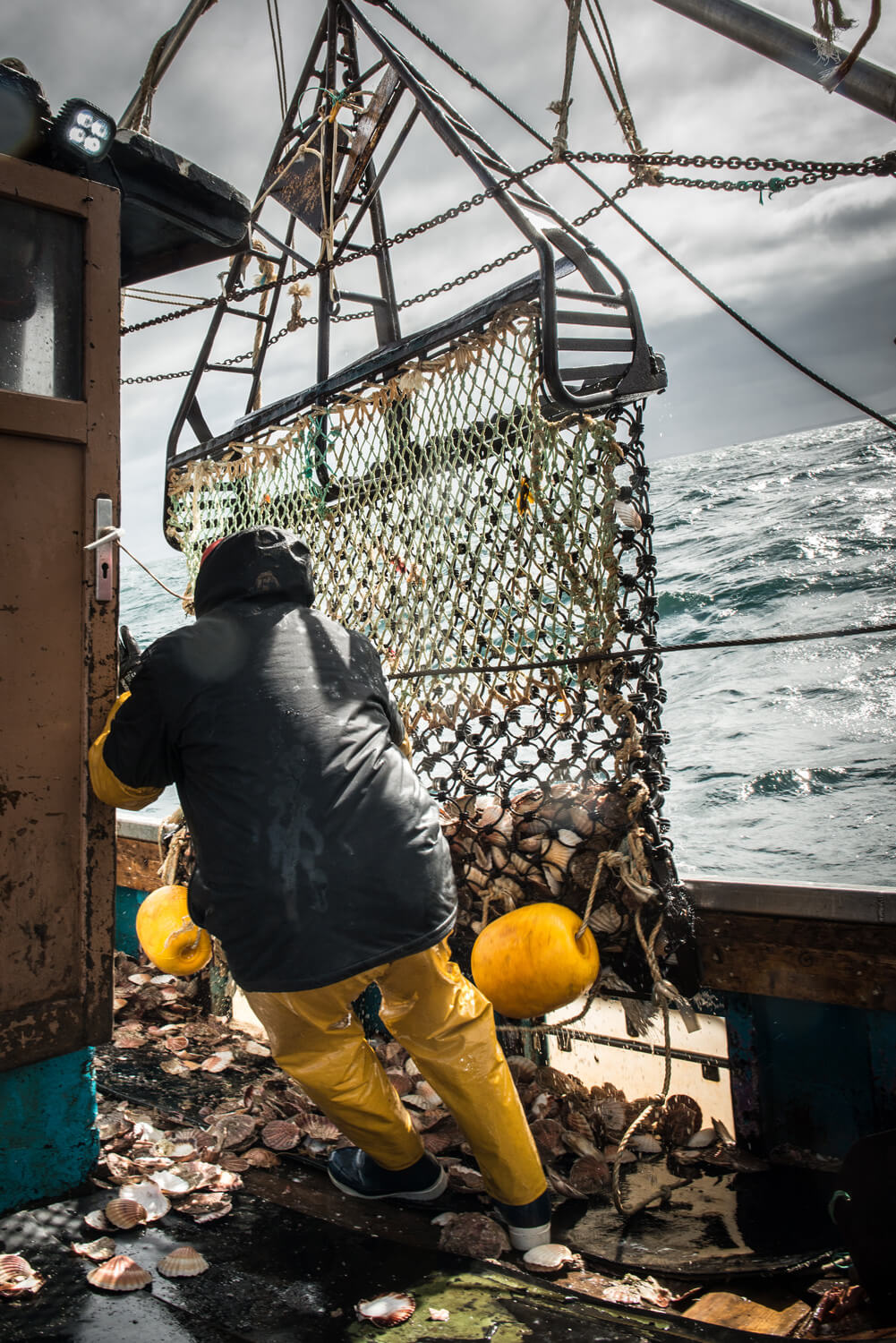 Pêche aux coquilles Saint-Jacques en baie de Saint-Brieuc