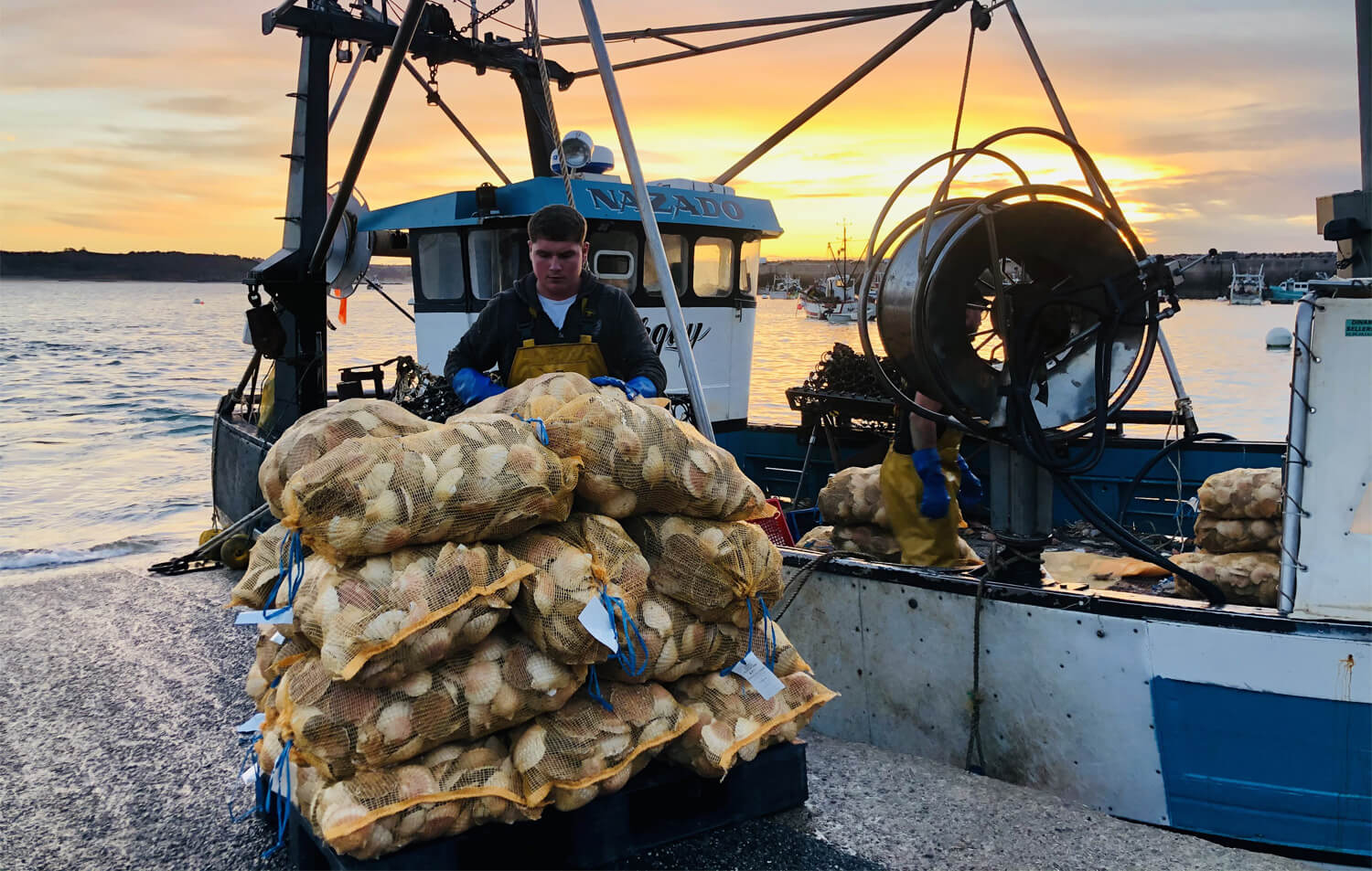 Pêche aux coquilles Saint-Jacques en baie de Saint-Brieuc