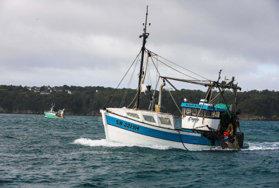 Le Coup de Fil du Matin : Typhaine Blanchet et ses recettes de coquilles Saint-Jacques